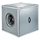 Iso-V